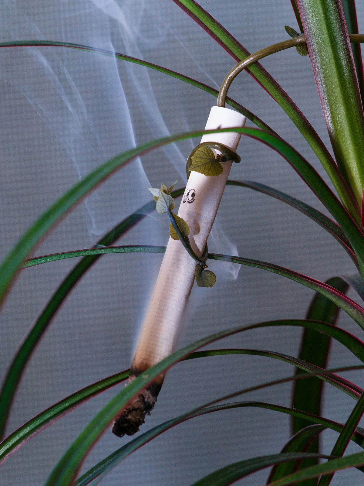 Hybrid Cigs - Image 3