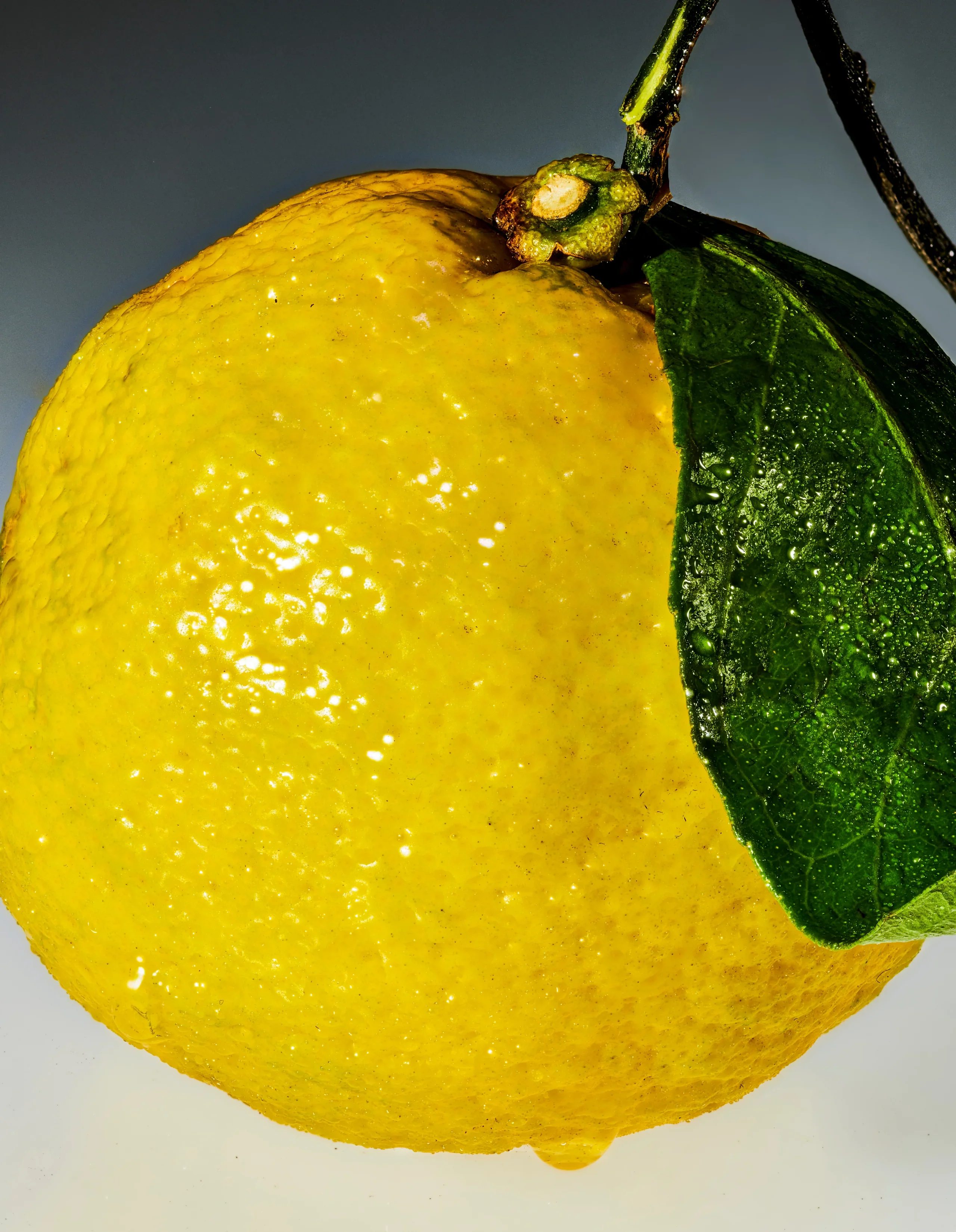 Sour Yuzu Mochi - 5mg THC - Image 4