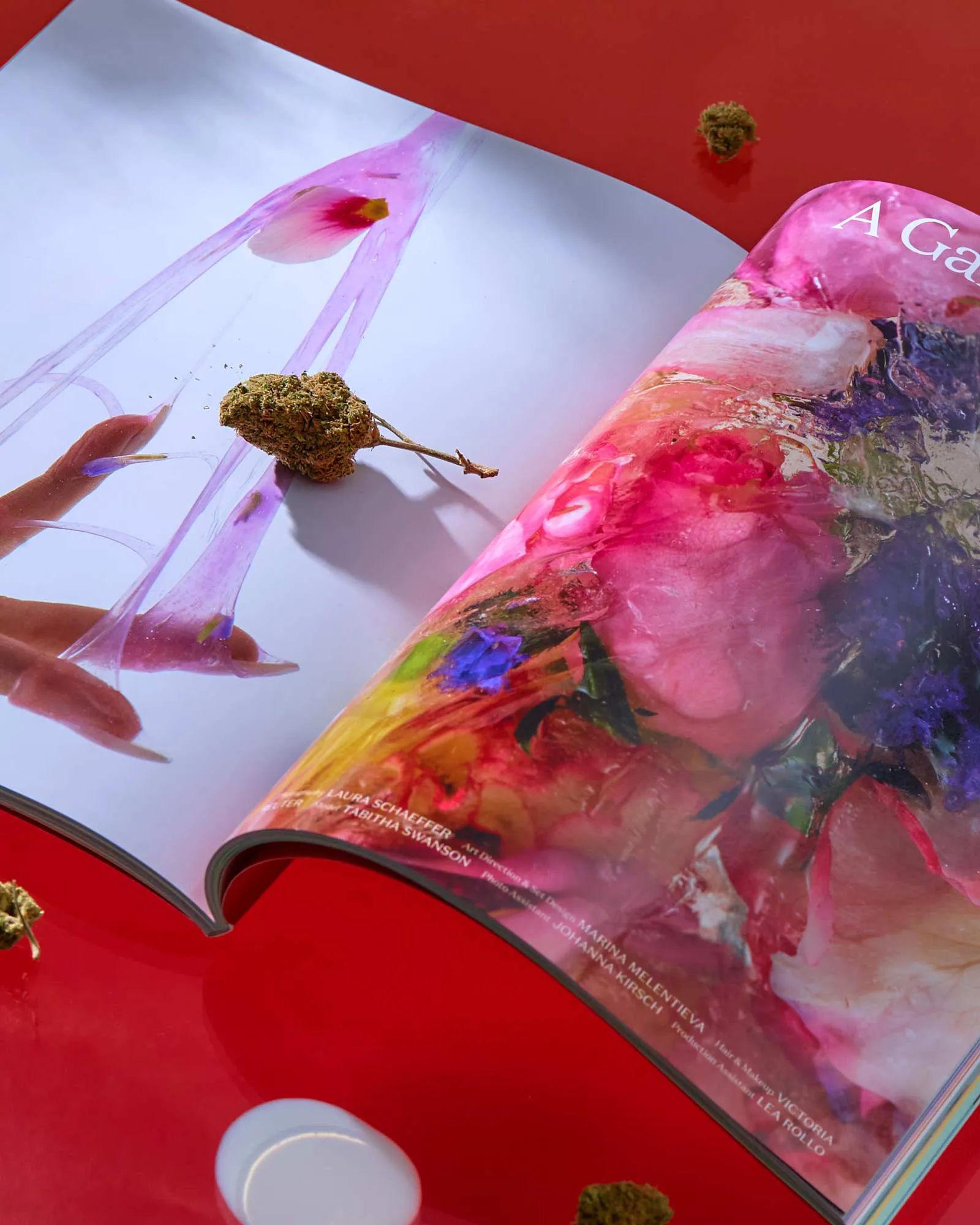 Volume Five: Flower - Image 6