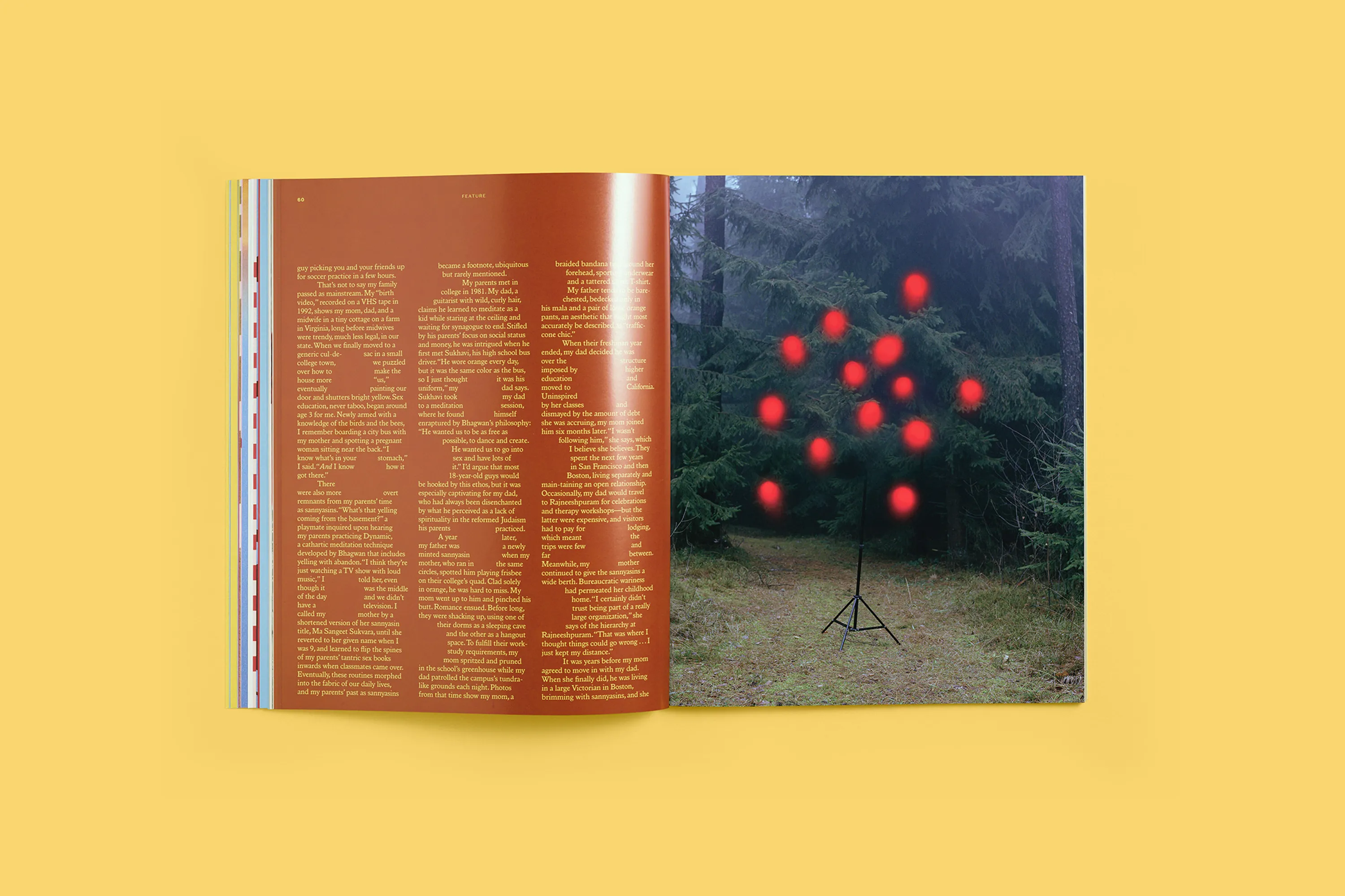 Volume Two: Paradise - Image 6